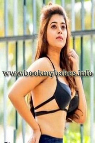 Ajmer Escorts